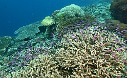 Sipadan_2015_Divers_IMG_2110_rc