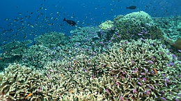 Sipadan_2015_divers_IMG_2109_rc